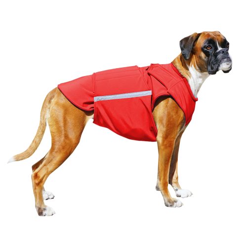 BOXER DOG RAINCOAT / MADE TO ORDER