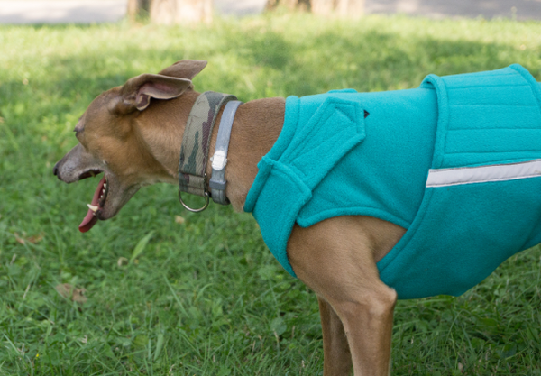 GREYHOUND/WHIPPET FLEECE DOG COAT WITH NECK WARMER / MADE TO ORDER