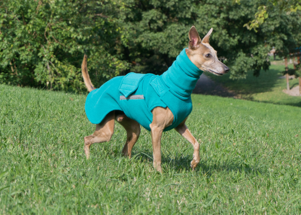 GREYHOUND/WHIPPET FLEECE DOG COAT WITH NECK WARMER / MADE TO ORDER