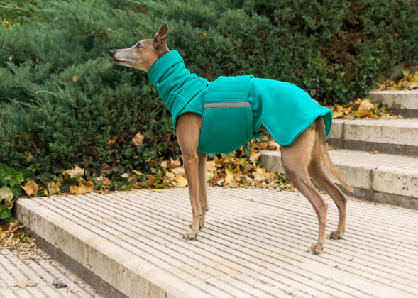 GREYHOUND/WHIPPET FLEECE DOG COAT WITH NECK WARMER / MADE TO ORDER