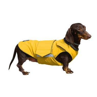 DACHSHUND DOG RAINCOAT / MADE TO ORDER