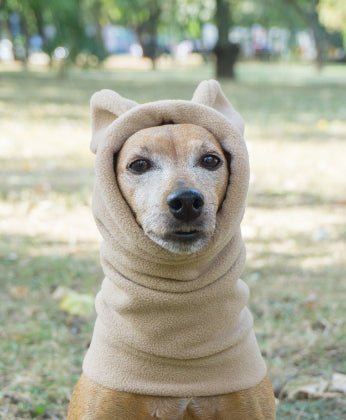 WINTER DOG SNOOD WITH EARS