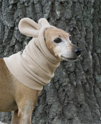 WINTER DOG SNOOD WITH EARS