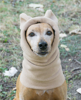 WINTER DOG SNOOD WITH EARS