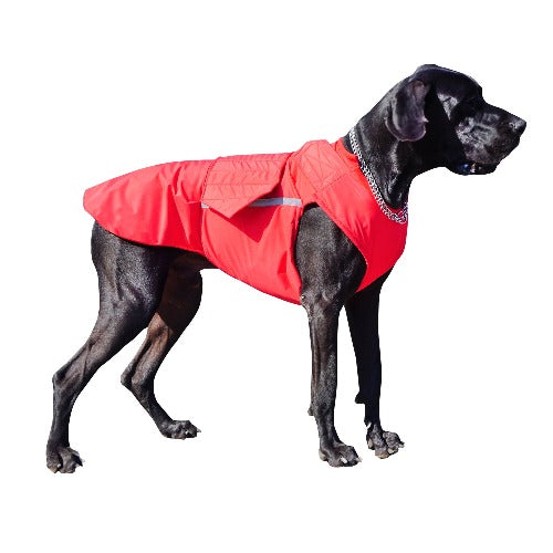 GREAT DANE DOG RAINCOAT / MADE TO ORDER