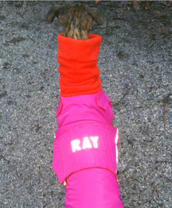 YOUR DOG'S NAME ON HIS/HER COAT