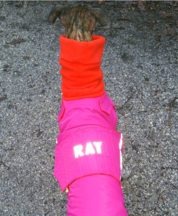 YOUR DOG'S NAME ON HIS/HER COAT