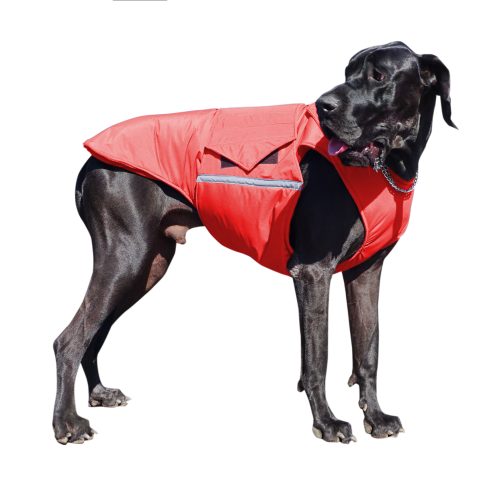 GREAT DANE EXTRA WARM WINTER DOG COAT / MADE TO ORDER