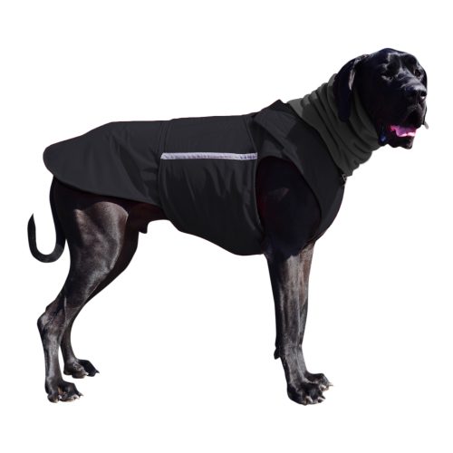 GREAT DANE WINTER DOG COAT MADE TO ORDER – Pepper Petwear