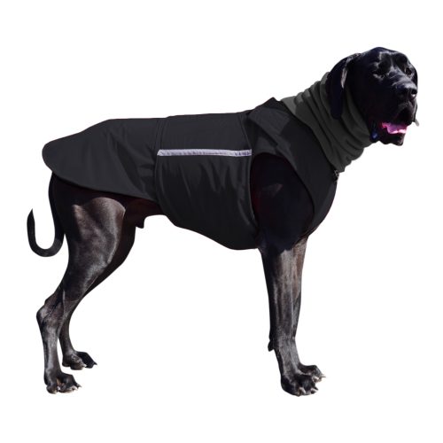 GREAT DANE WINTER DOG COAT / MADE TO ORDER