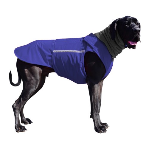 GREAT DANE WINTER DOG COAT / MADE TO ORDER