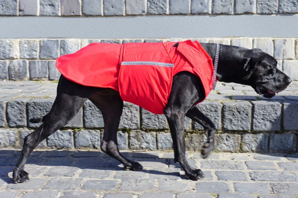 GREAT DANE DOG RAINCOAT / MADE TO ORDER