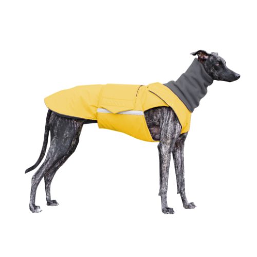 GREYHOUND EXTRA WARM WINTER COAT + NECK WARMER - READY-MADE