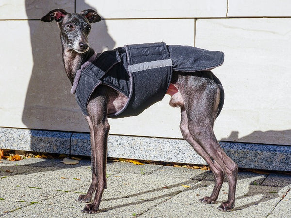 ITALIAN GREYHOUND EXTRA WARM WINTER COAT - READY-MADE