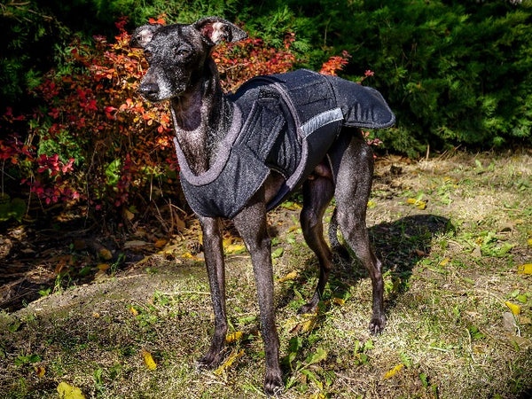 ITALIAN GREYHOUND EXTRA WARM WINTER COAT - READY-MADE