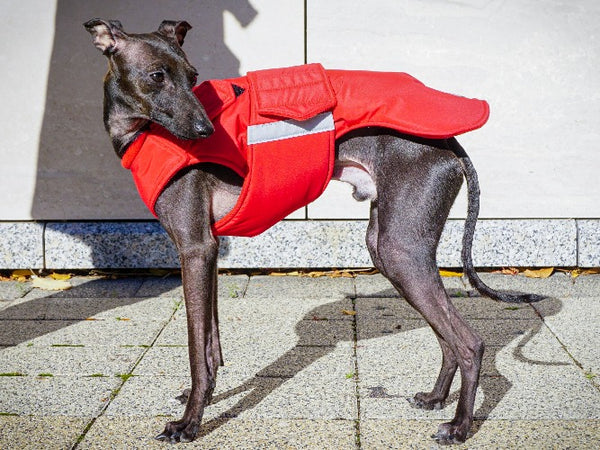 ITALIAN GREYHOUND EXTRA WARM WINTER COAT - READY-MADE