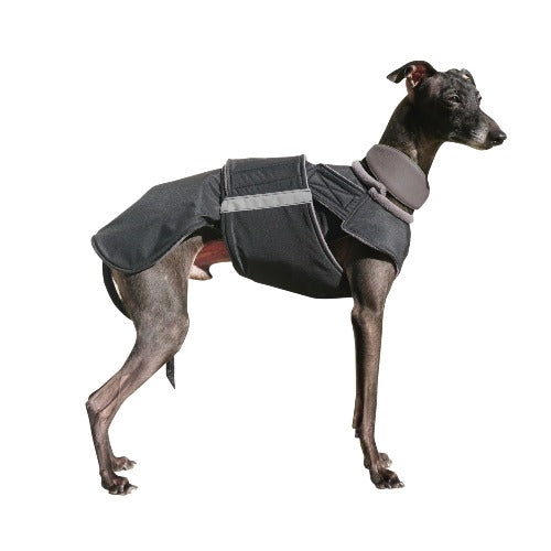 ITALIAN GREYHOUND WINTER COAT - READY-MADE