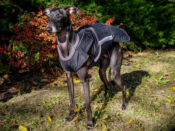 ITALIAN GREYHOUND EXTRA WARM WINTER DOG COAT / MADE TO ORDER