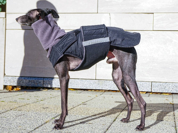 ITALIAN GREYHOUND EXTRA WARM WINTER COAT + NECK WARMER - READY-MADE