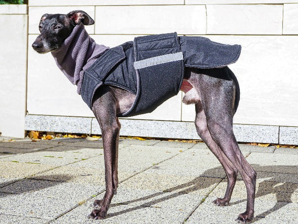 ITALIAN GREYHOUND EXTRA WARM WINTER COAT + NECK WARMER - READY-MADE