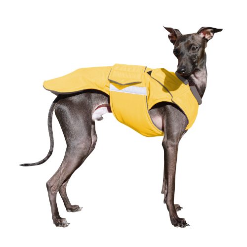 ITALIAN GREYHOUND EXTRA WARM WINTER COAT READY-MADE – Pepper Petwear