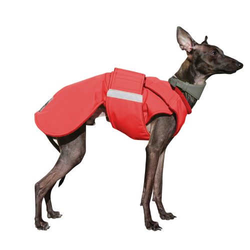 ITALIAN GREYHOUND WINTER COAT - READY-MADE