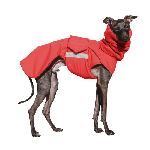 ITALIAN GREYHOUND WINTER DOG COAT + NECK WARMER / MADE TO ORDER