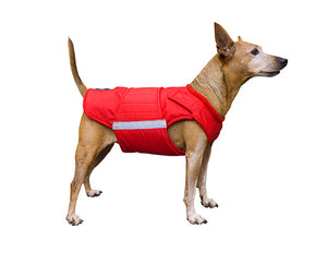 PINSCHER DOG RAINCOAT / MADE TO ORDER