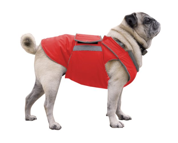 PUG DOG RAINCOAT / MADE TO ORDER