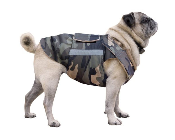 PUG DOG RAINCOAT / MADE TO ORDER