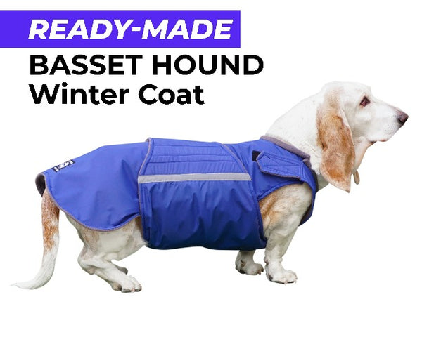 BASSET HOUND WINTER COAT - READY-MADE