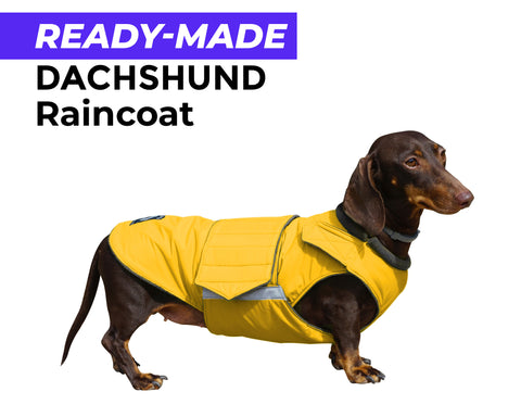 DACHSHUND RAINCOAT - READY-MADE