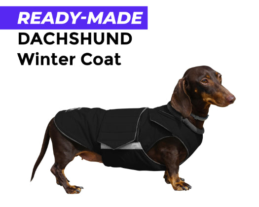 DACHSHUND WINTER COAT - READY-MADE