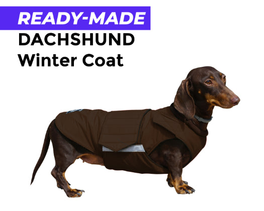 DACHSHUND WINTER COAT - READY-MADE