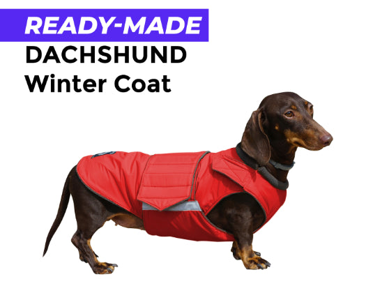 DACHSHUND WINTER COAT - READY-MADE