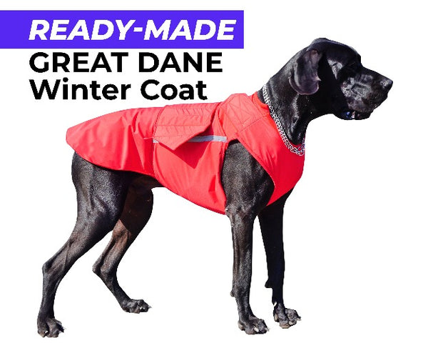 GREAT DANE WINTER COAT - READY-MADE