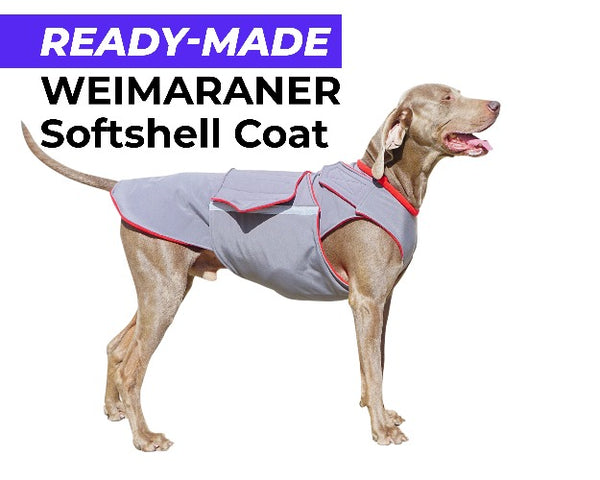WEIMARANER SOFTSHELL DOG COAT - READY-MADE