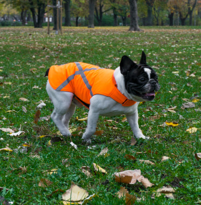 HIGH VISIBILITY DOG JACKET / MADE TO ORDER