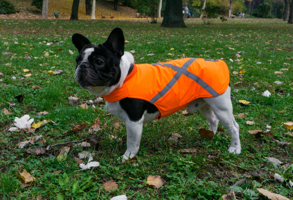 HIGH VISIBILITY DOG JACKET / MADE TO ORDER