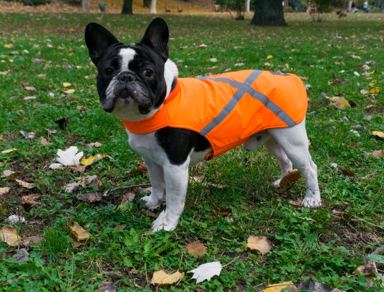 HIGH VISIBILITY DOG JACKET / MADE TO ORDER