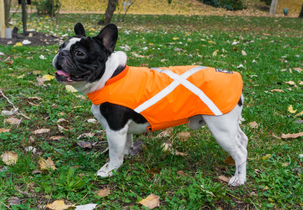 HIGH VISIBILITY DOG JACKET / MADE TO ORDER