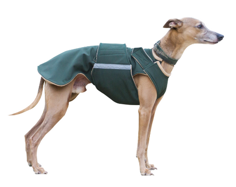 WHIPPET SOFTSHELL DOG COAT / MADE TO ORDER