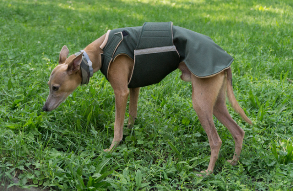 WHIPPET SOFTSHELL DOG COAT / MADE TO ORDER