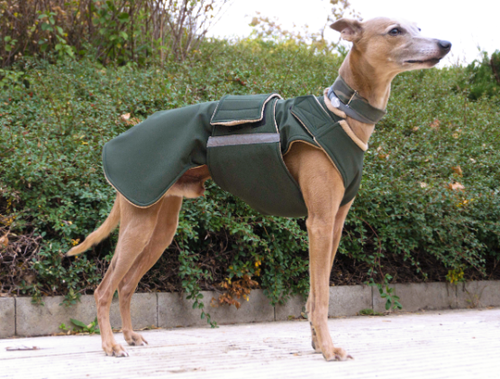 WHIPPET SOFTSHELL DOG COAT / MADE TO ORDER