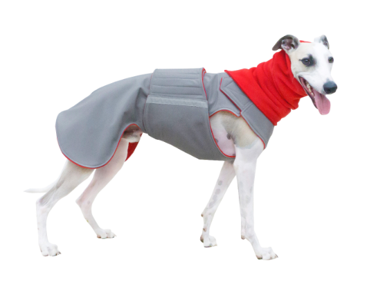 GREYHOUND SOFTSHELL DOG COAT + NECK WARMER / MADE TO ORDER