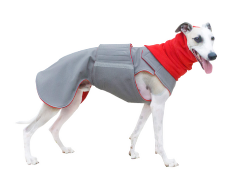 WHIPPET/GREYHOUND WINTER DOG COAT + NECK WARMER / MADE TO ORDER