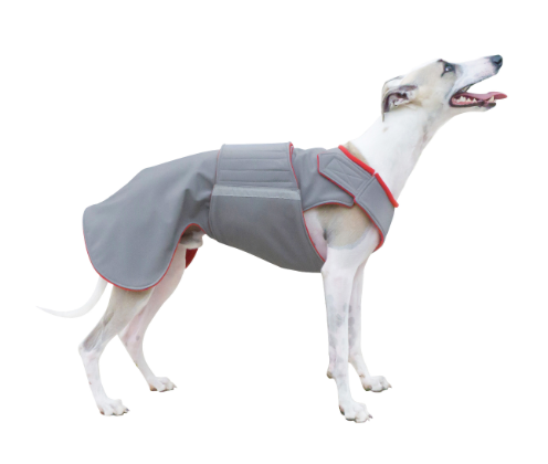 GREYHOUND SOFTSHELL DOG COAT / MADE TO ORDER