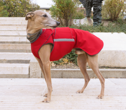 WHIPPET DOG RAINCOAT / MADE TO ORDER