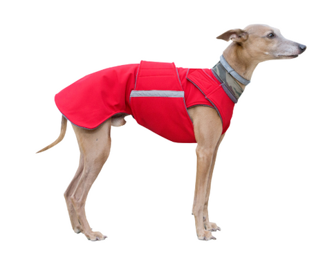 WHIPPET/GREYHOUND SOFTSHELL DOG COAT / MADE TO ORDER