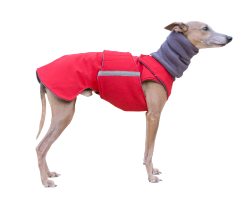 WHIPPET DOG RAINCOAT + NECK WARMER / MADE TO ORDER